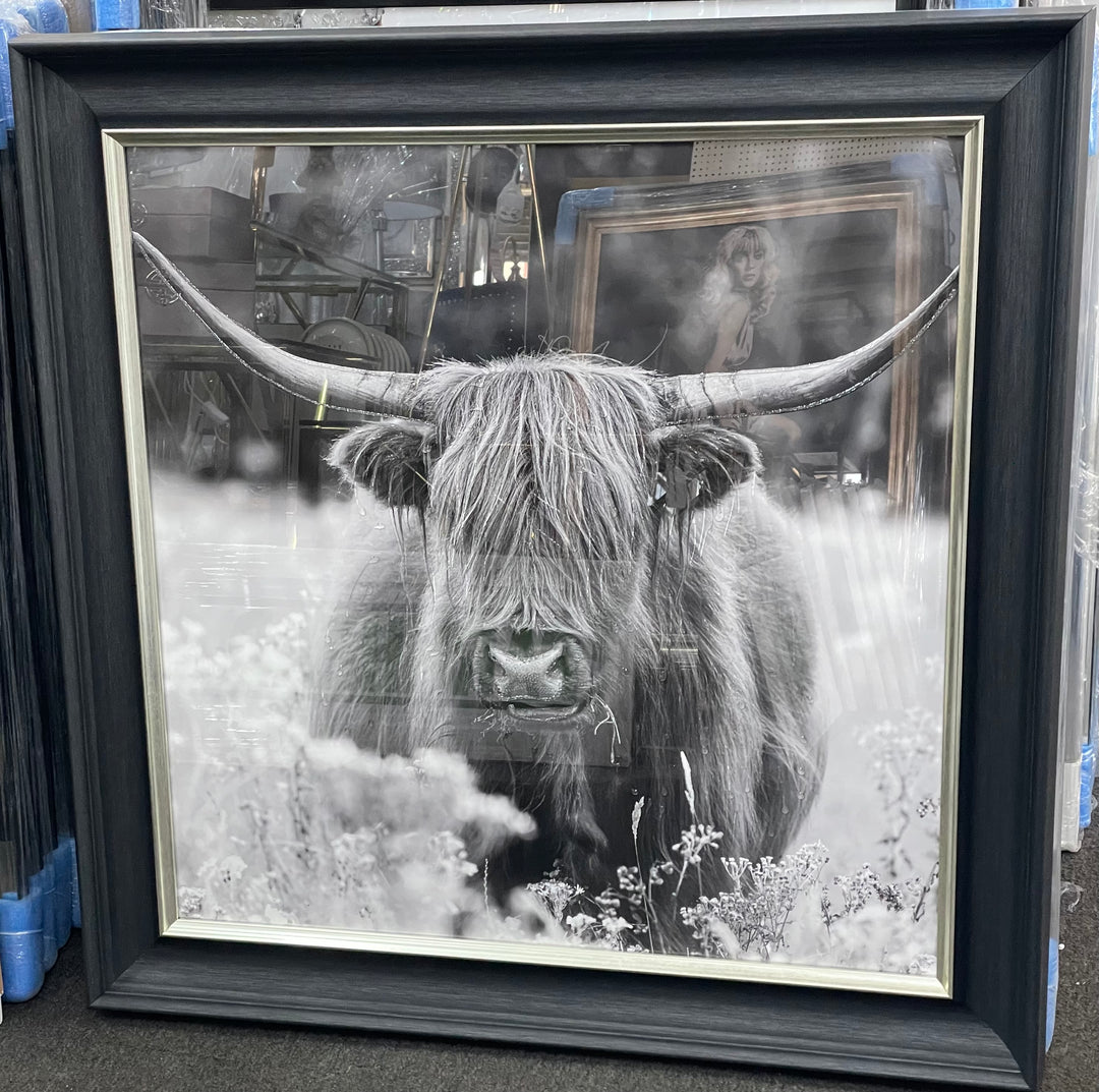 Highland Cow in the Fields Wall Art
