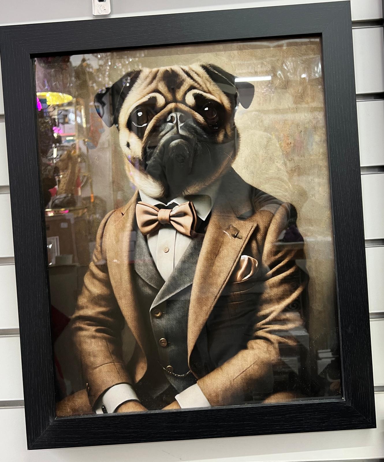 Black framed Pug dog in a suit bow decorative picture