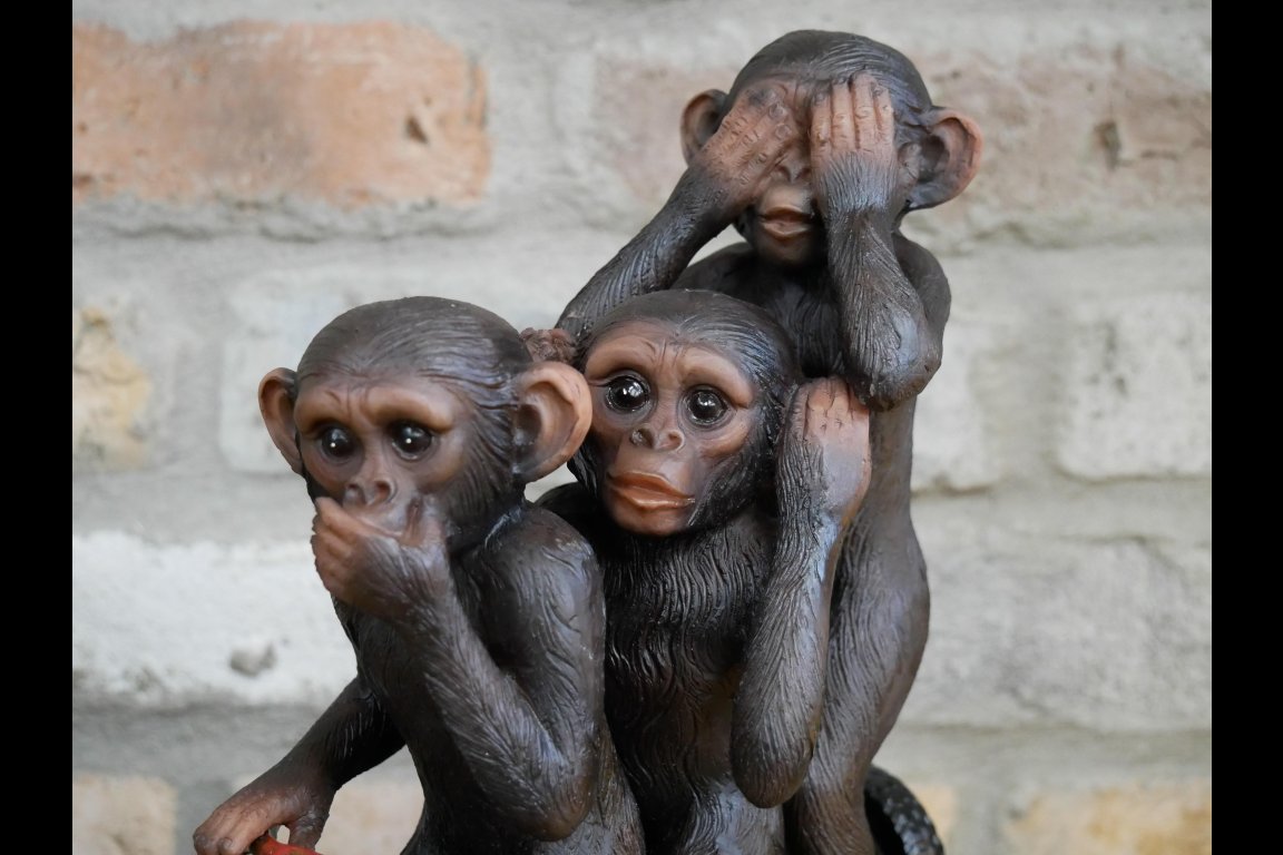 Monkeys
