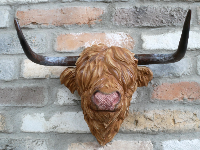 Highland cow 3d head wall mounted brown decorative ornament
