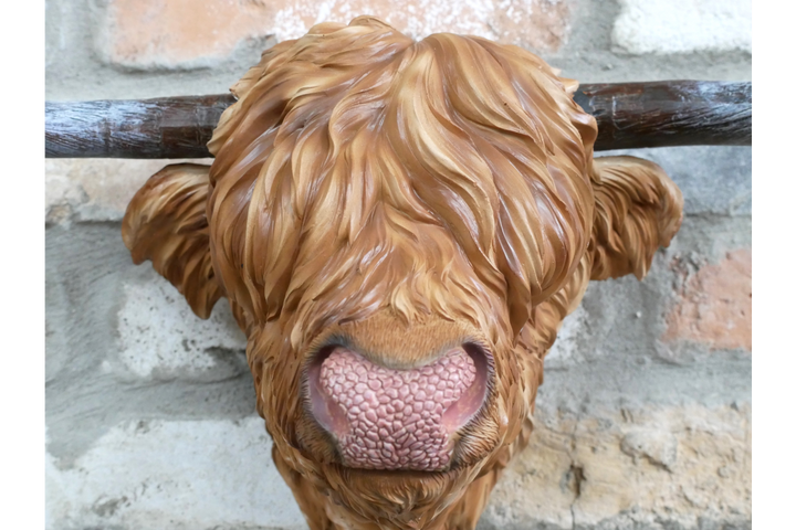 Highland cow 3d head wall mounted brown decorative ornament