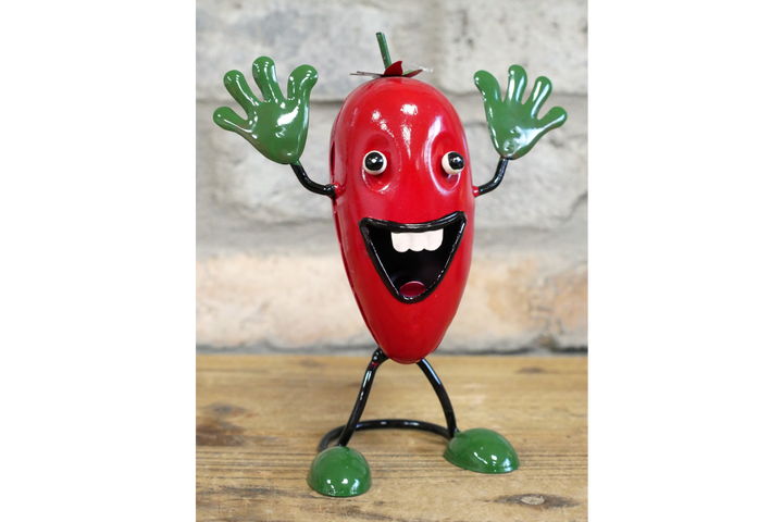 Colorful Metal Kitchen Decor Watermelon, Pepper, Chilli & Pickle Design
