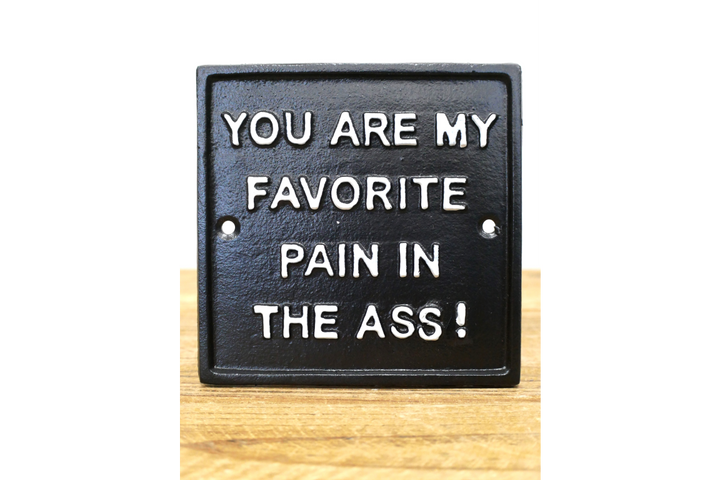 Fun & Sarcastic Wall Signs – Chaos Corner, Pain in the Ass & Make This Shit Up
