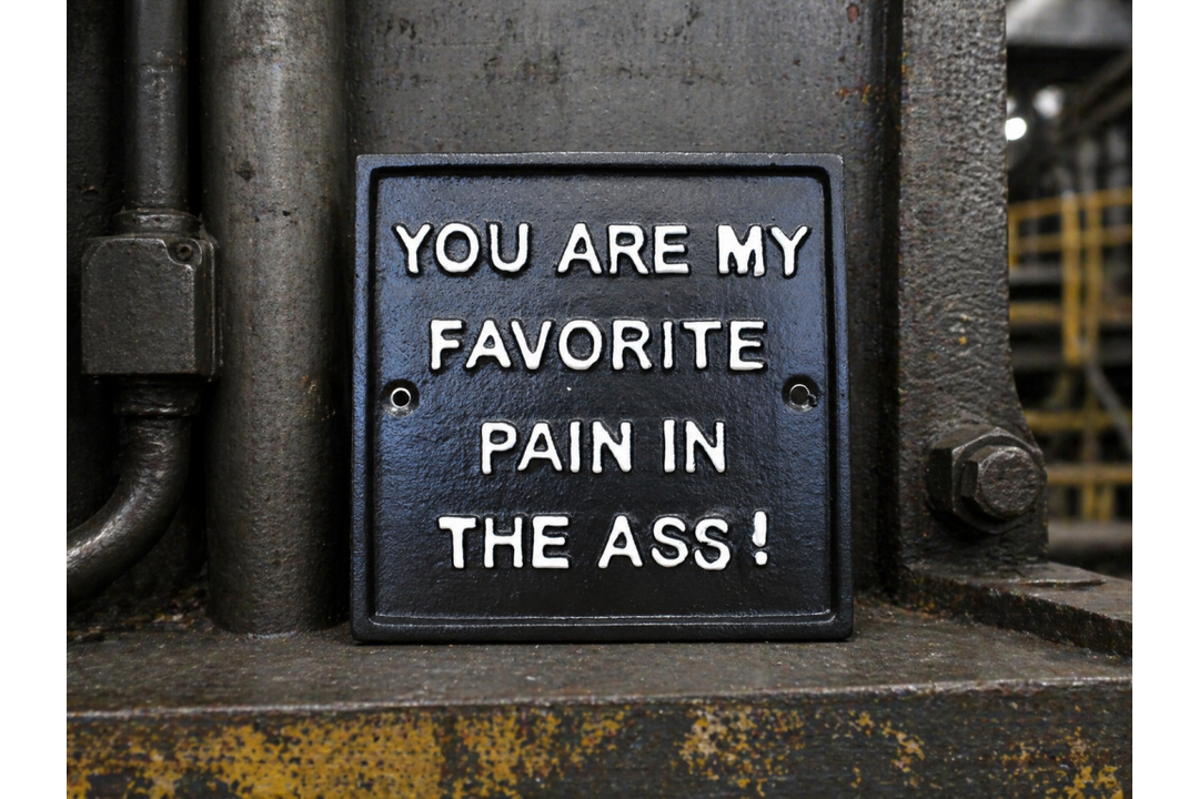 Fun & Sarcastic Wall Signs – Chaos Corner, Pain in the Ass & Make This Shit Up