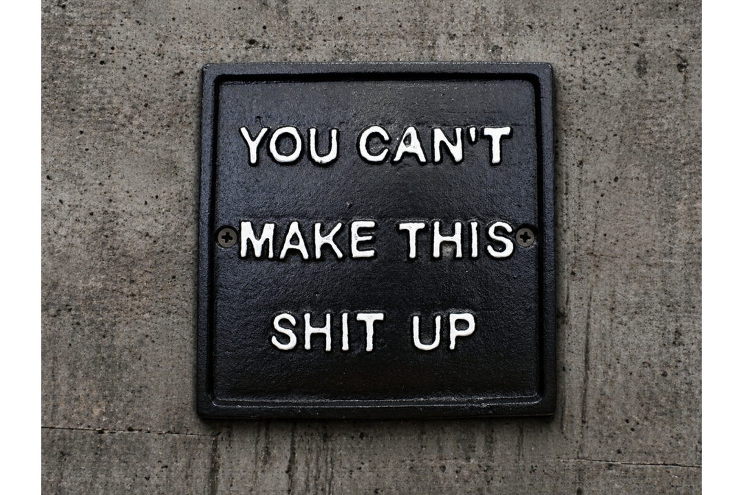 Fun & Sarcastic Wall Signs – Chaos Corner, Pain in the Ass & Make This Shit Up