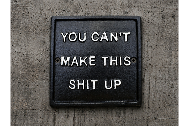 Fun & Sarcastic Wall Signs – Chaos Corner, Pain in the Ass & Make This Shit Up