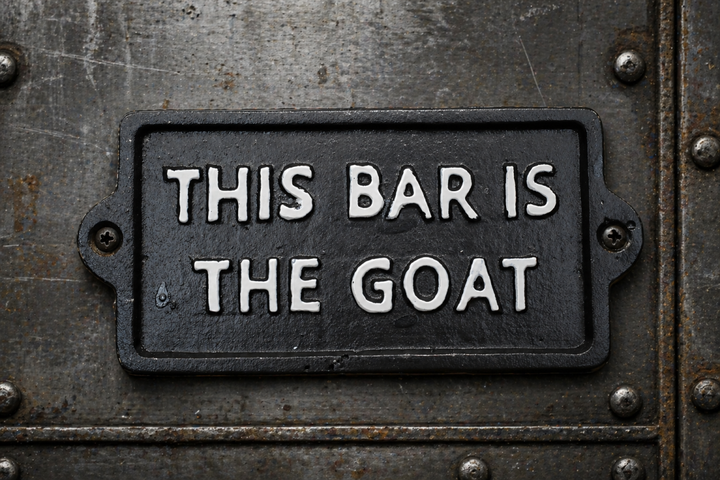 Humorous Bar Wall Signs – Feed a Hangover, This Bar Is the GOAT & Adulting Zone