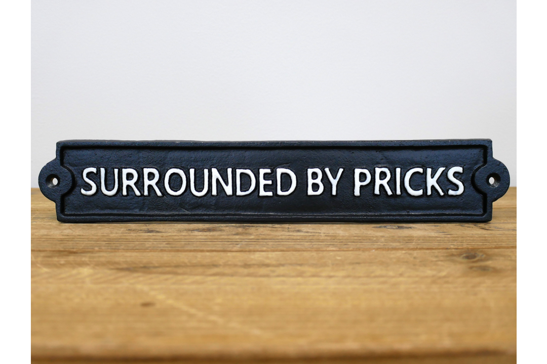 Humorous Statement Wall Signs – Unhinged, Surrounded by Pricks & Boujee Decorative Signs