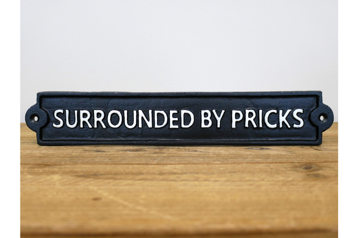 Humorous Statement Wall Signs – Unhinged, Surrounded by Pricks & Boujee Decorative Signs