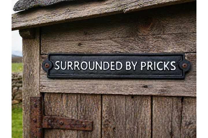 Humorous Statement Wall Signs – Unhinged, Surrounded by Pricks & Boujee Decorative Signs