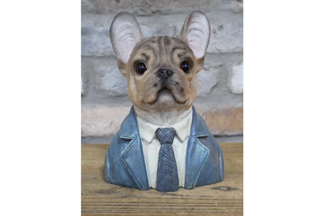 Large French Bulldog bust brown resin wearing suit ornament