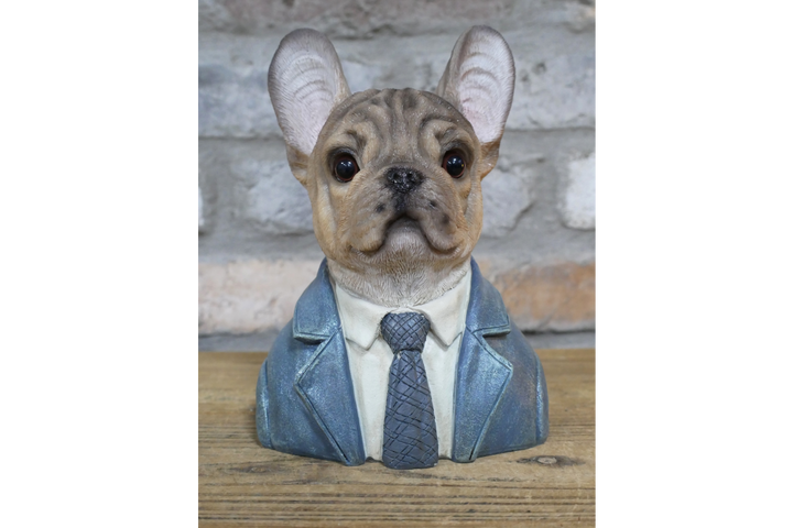 Large French Bulldog bust brown resin wearing suit ornament