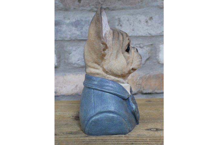 Large French Bulldog bust brown resin wearing suit ornament