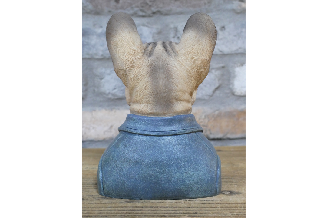 Large French Bulldog bust brown resin wearing suit ornament