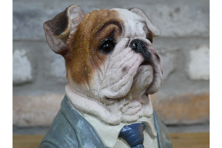 Bulldog Bust Resin Ornament in Suit Quirky Home Décor