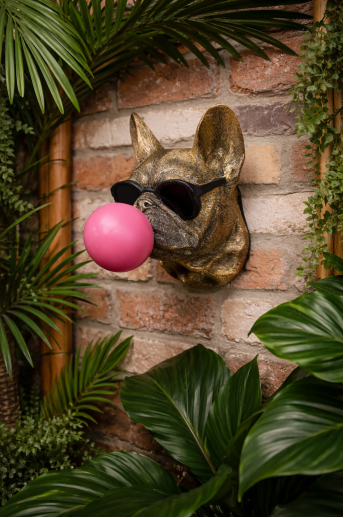 Antique Gold Dog Head Wall Sculpture with Pink Bubblegum & Black Resin Finish