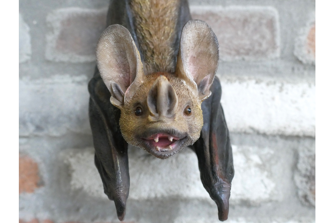 Hanging Bat Garden Ornament with Rope – Resin Outdoor Decor