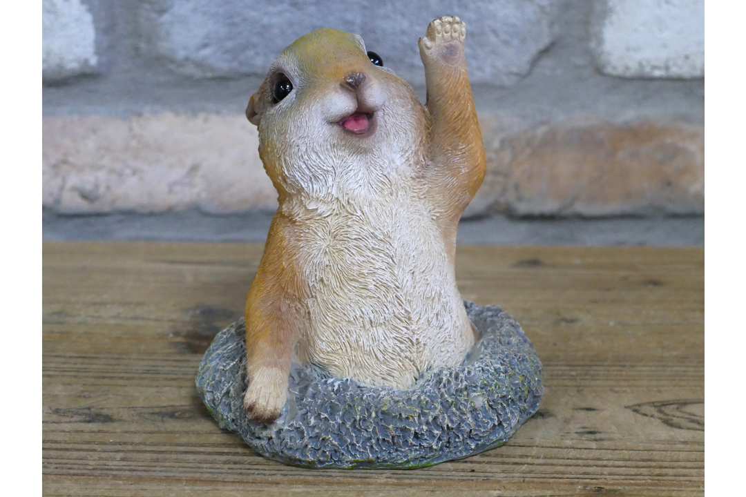 Playful Meerkat Popping Out Resin Garden Ornament – Decorative Animal Statue for Outdoor Decor