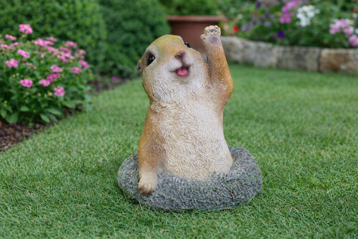 Playful Meerkat Popping Out Resin Garden Ornament – Decorative Animal Statue for Outdoor Decor