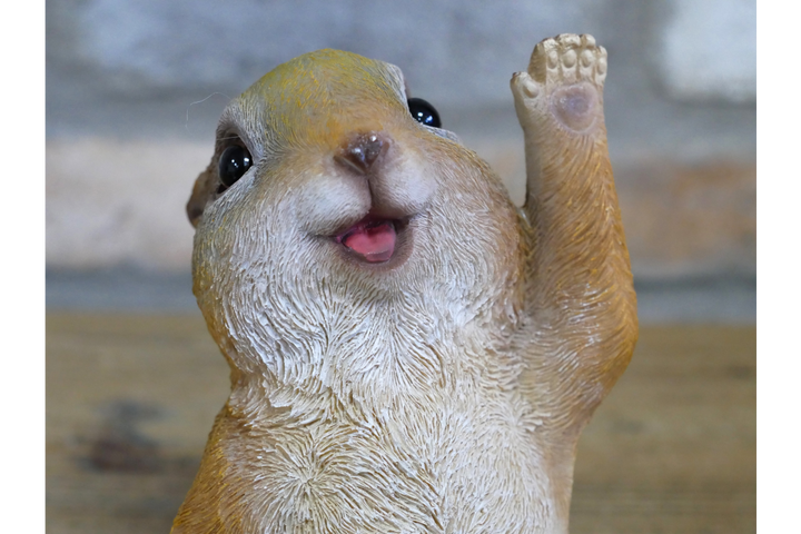 Playful Meerkat Popping Out Resin Garden Ornament – Decorative Animal Statue for Outdoor Decor
