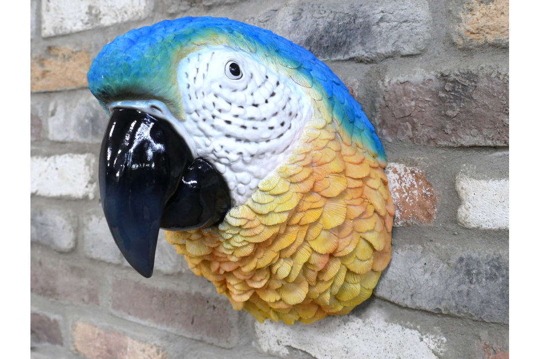 Parrot Head Ornament – Large Tropical Bird Sculpture & Exotic Home Décor
