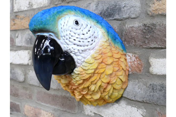 Parrot Head Ornament – Large Tropical Bird Sculpture & Exotic Home Décor