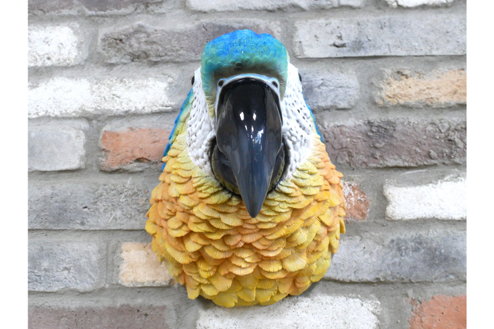 Parrot Head Ornament – Large Tropical Bird Sculpture & Exotic Home Décor