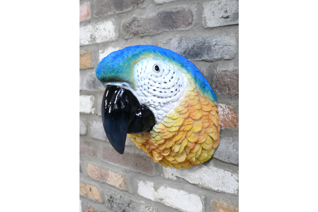 Parrot Head Ornament – Large Tropical Bird Sculpture & Exotic Home Décor