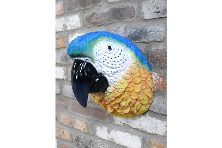 Parrot Head Ornament – Large Tropical Bird Sculpture & Exotic Home Décor