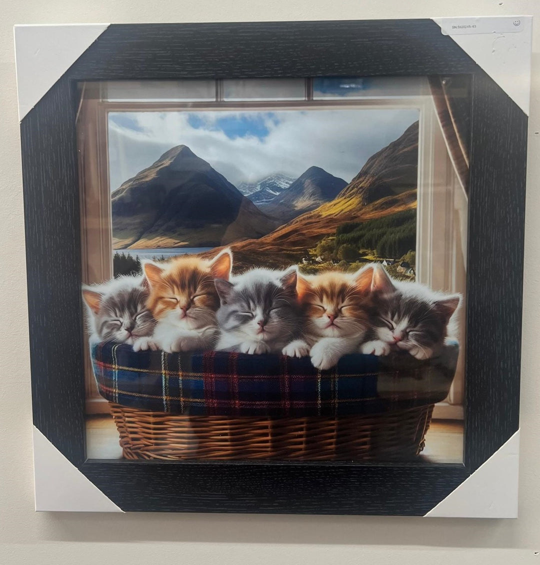 Black framed pictures of kittens tartan in basket plain