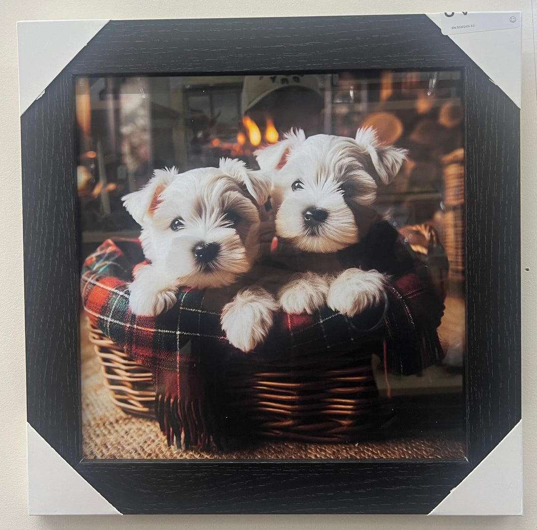 Black framed picture White Terrier dog tartan in basket Plain