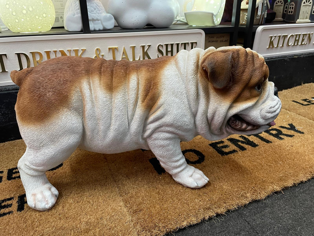 Bulldog Peeing decorative resin ornament free standing