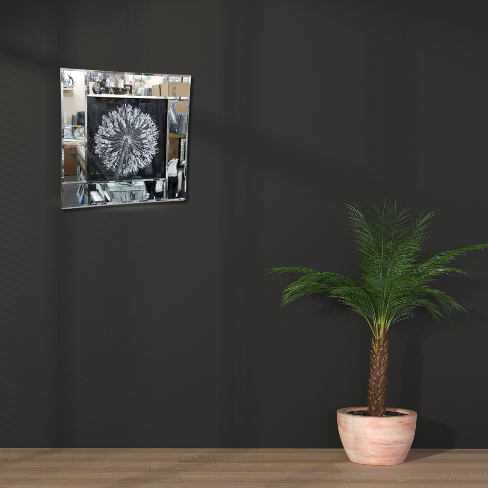 Black & White closed flower mirror Frame wall art