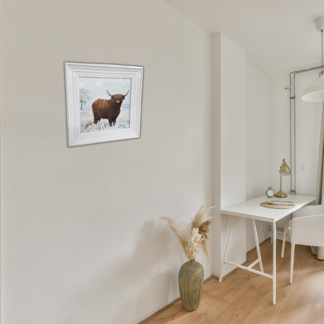 Highland Cow Wall Art with White Step Frame