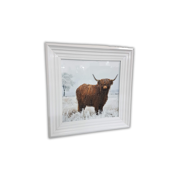 Highland Cow Wall Art with White Step Frame