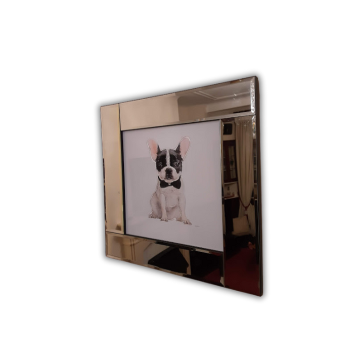 Classic French Bulldog
