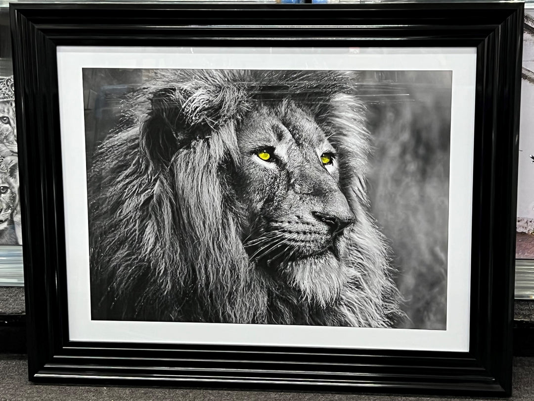 Lion Yellow Eyes black frame Wall Art
