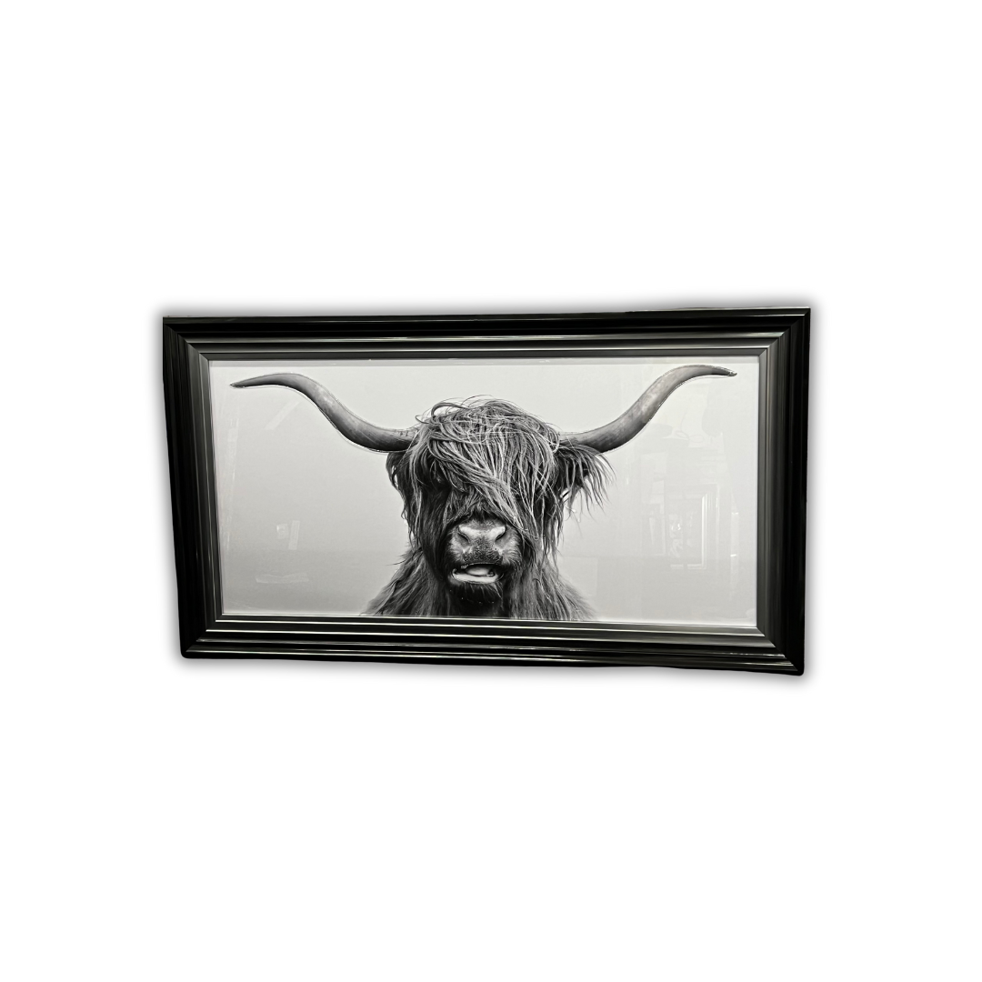 Highland Cow face picture with two tone step frame