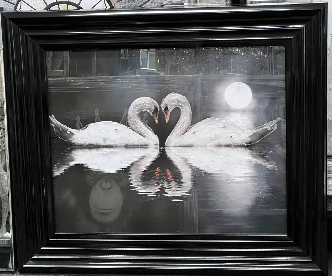 White Swans Heart Liquid Art - Black Frame Picture