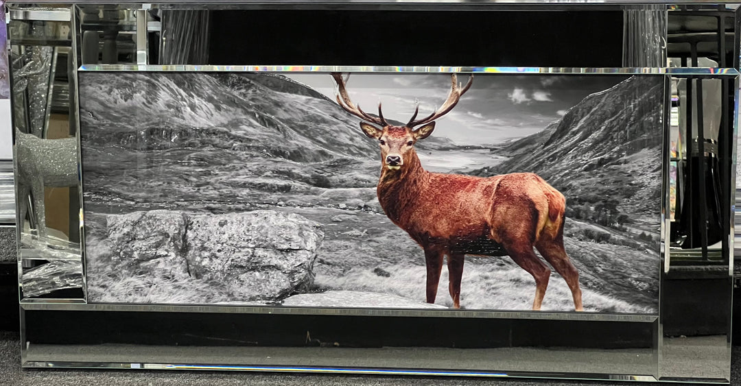 Majestic Stag Black & White Liquid Art Picture with Mirror Frame