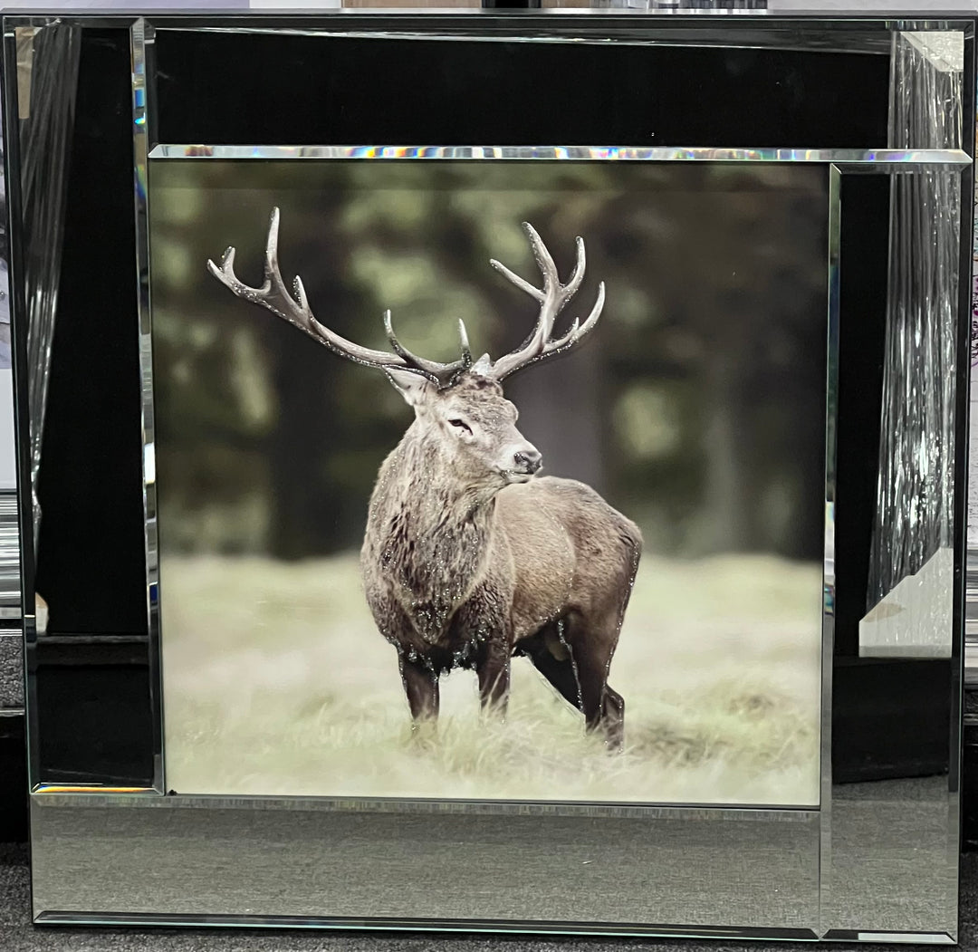 Stag in the Fields Liquid Art Wall Picture with Mirror Frame