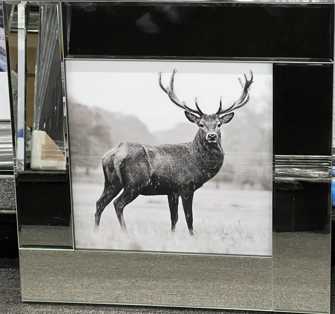 Stag in Black & White mirror frame Picture with liquid art