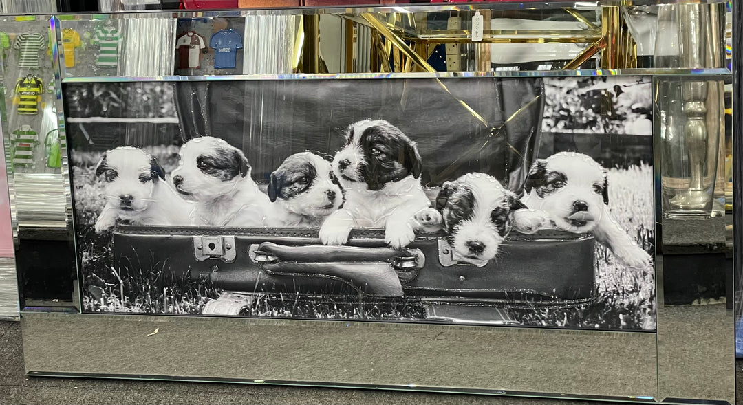 Black & White Puppies in a Suitcase Décor Picture