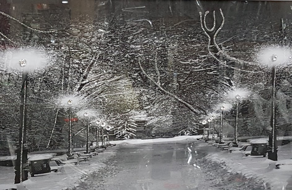 Black & White Winter Woods mirror frame picture