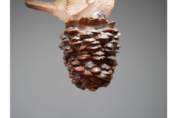 Robin santa hat On Pinecone & Acorn Christmas Tree Festive Decoration made of Resin