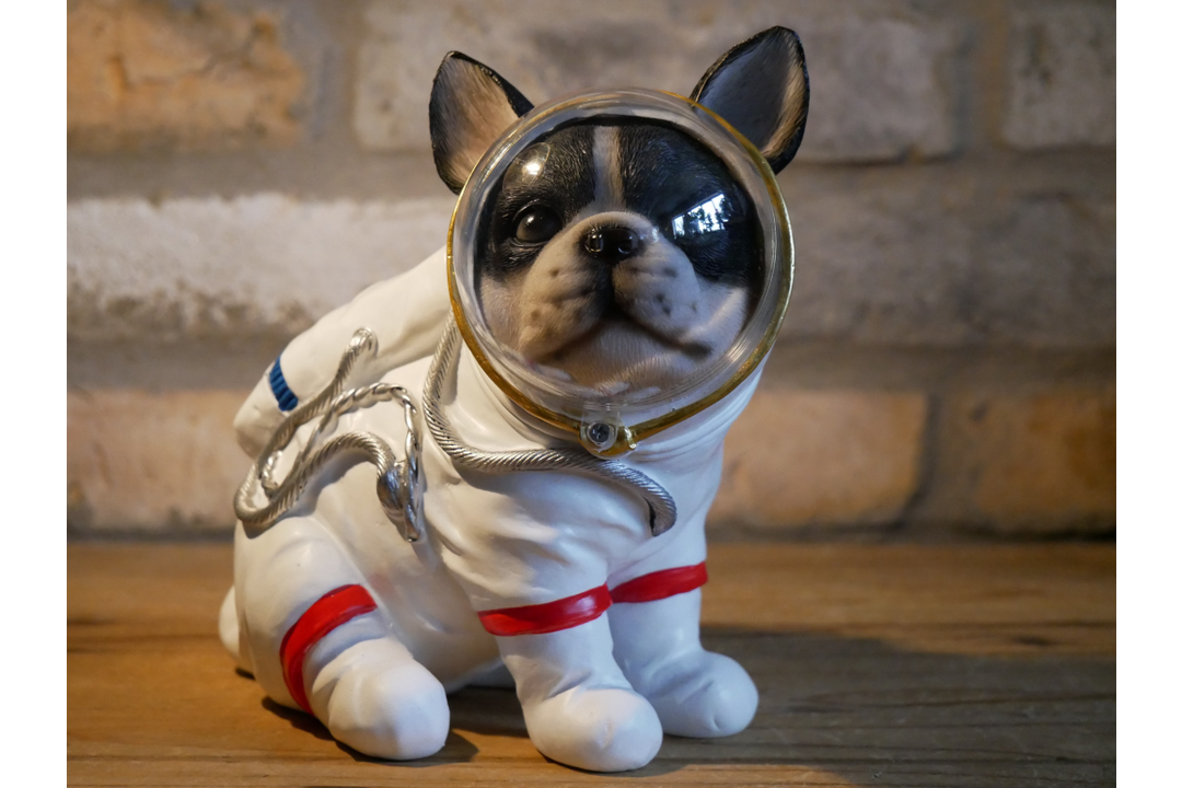 Space Dog Decorative Figurine – Unique Dog Ornament for Home, Shelf or Garden Décor
