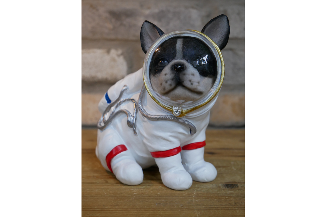 Space Dog Decorative Figurine – Unique Dog Ornament for Home, Shelf or Garden Décor