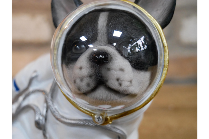 Space Dog Decorative Figurine – Unique Dog Ornament for Home, Shelf or Garden Décor