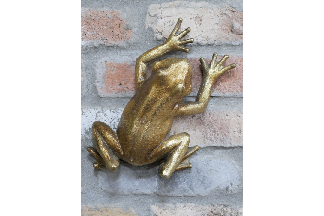 Elegant Gold Frog Wall Sculpture Decorative Resin Home Accent