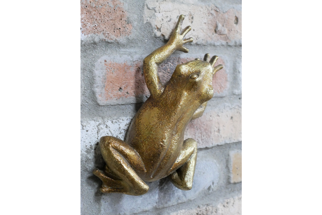 Elegant Gold Frog Wall Sculpture Decorative Resin Home Accent